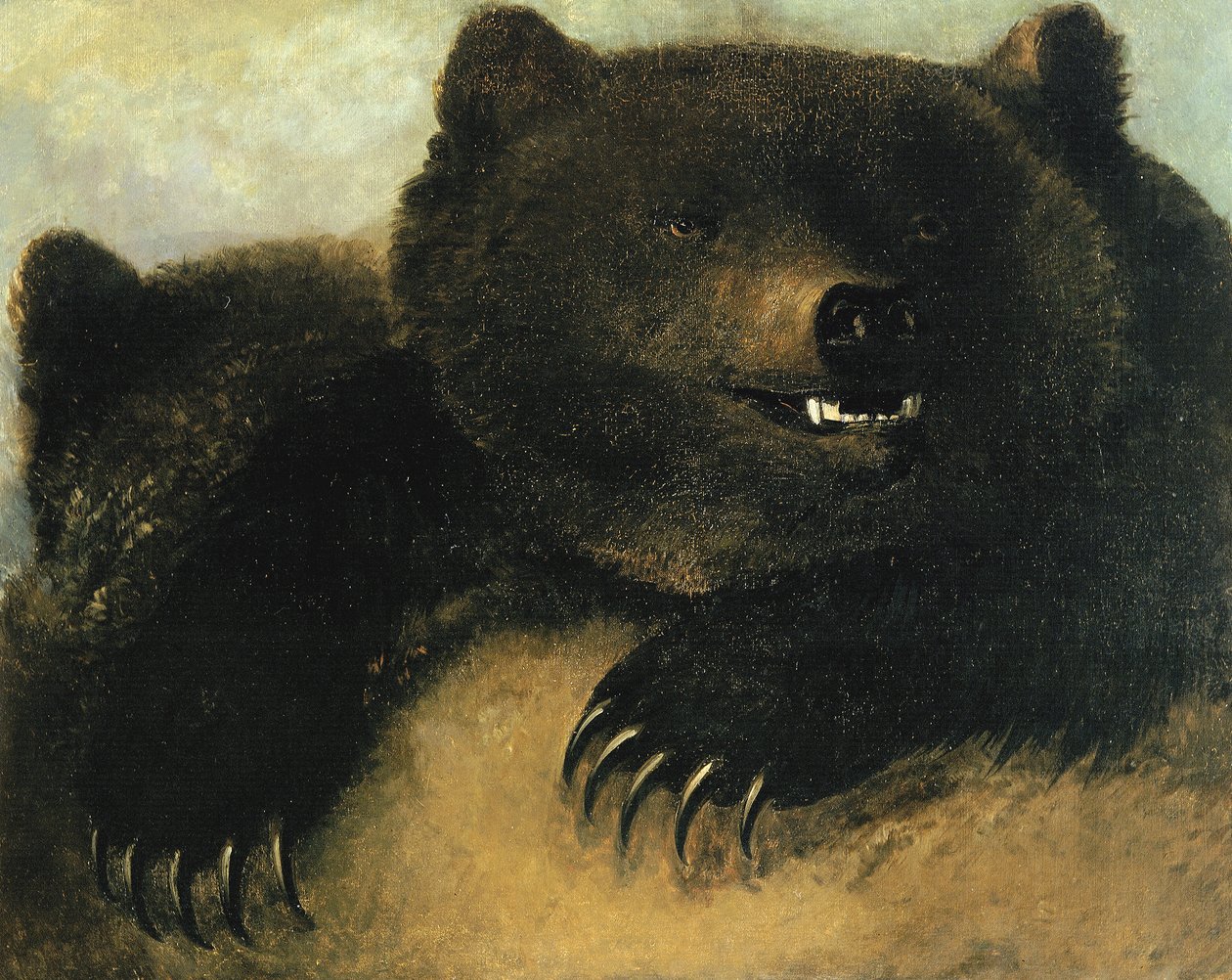 A Grizzly Medve fegyverei és fiziognómiája, 1846-1848. alkotó: George Catlin