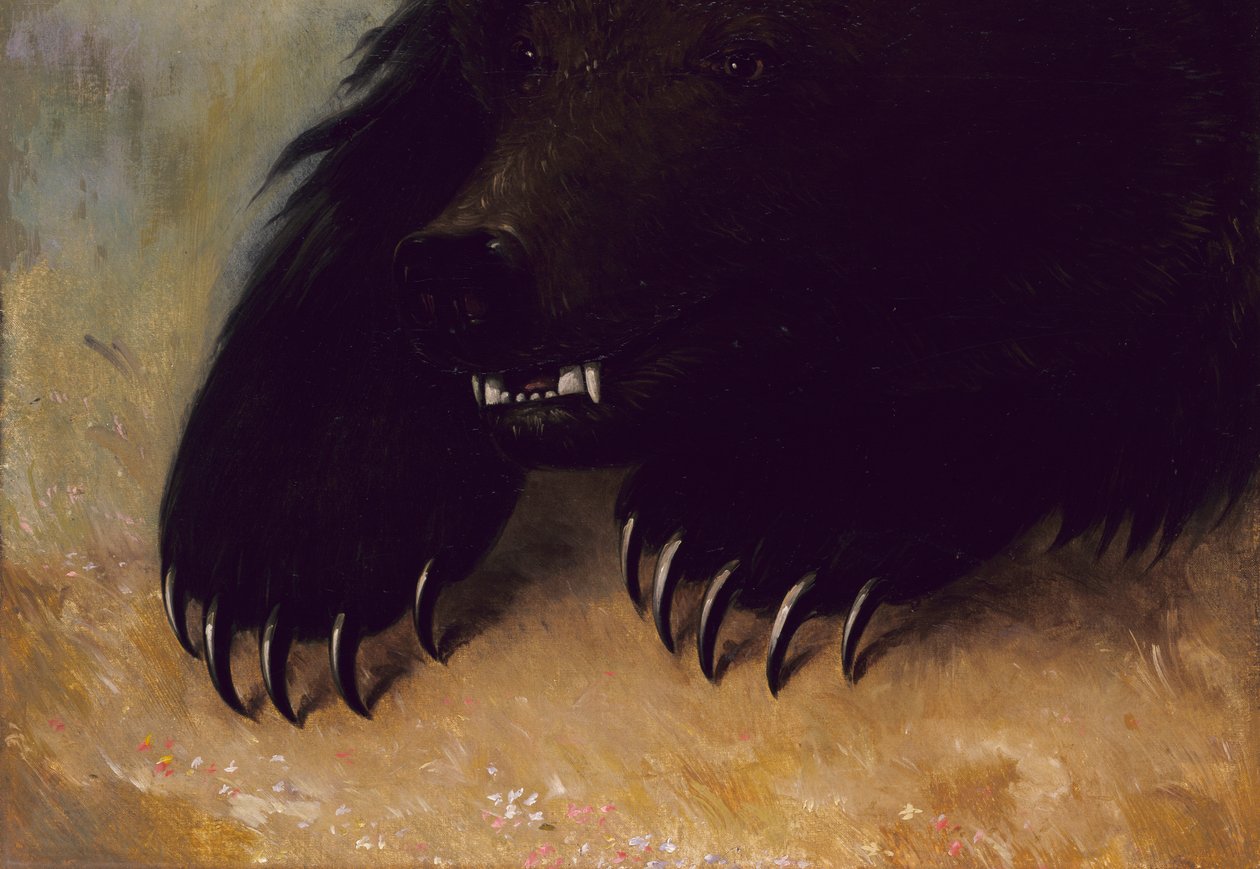 A Grizzly Medve fegyverei és fiziognómiája, 1846-1848. alkotó: George Catlin