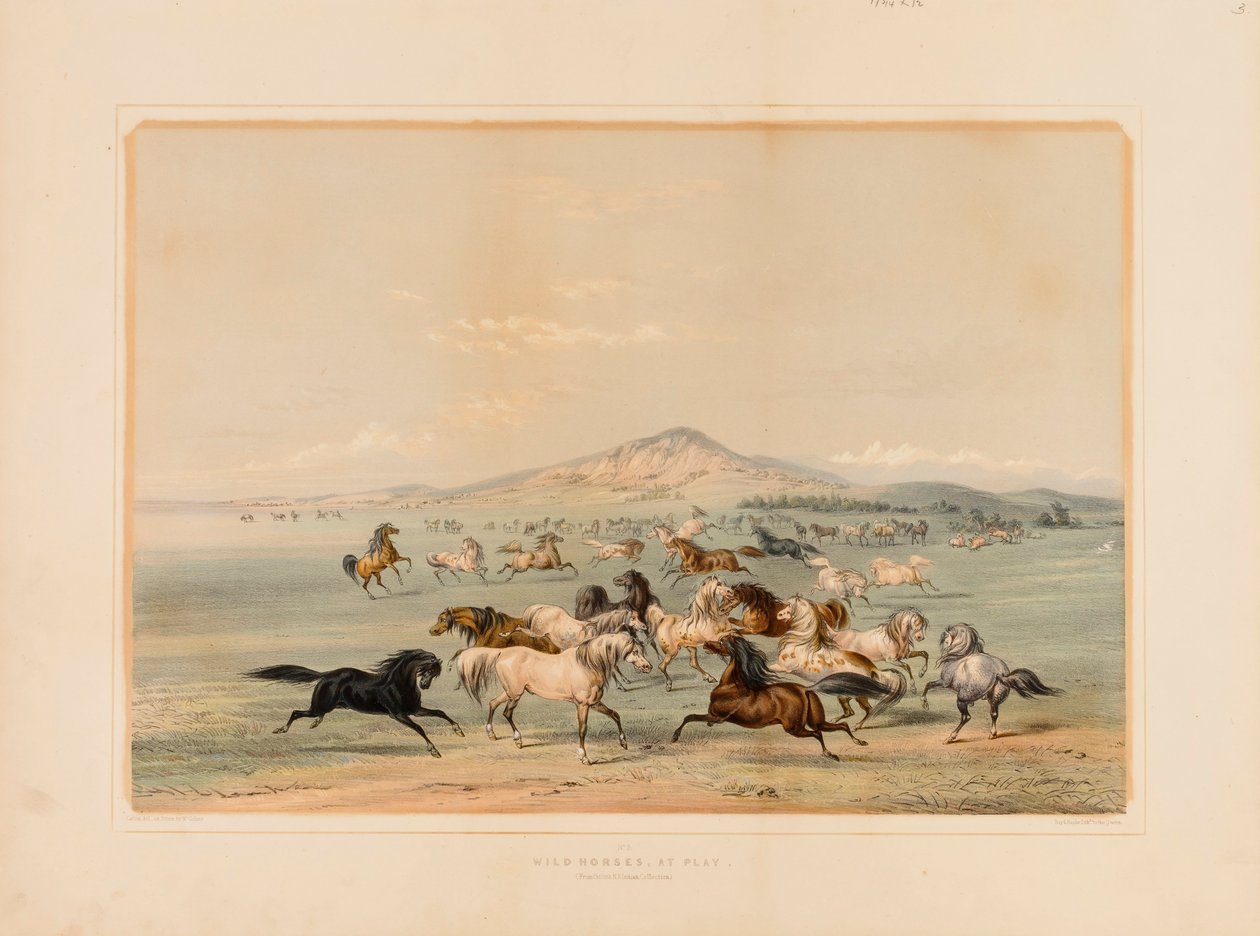 Vadlovak játszadoznak... nem. 3 alkotó: George Catlin