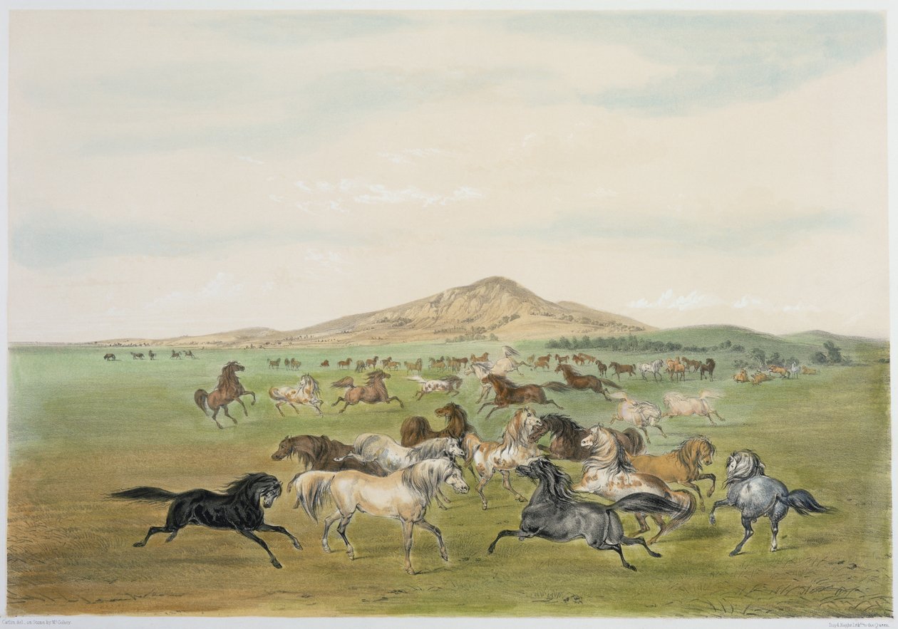 Vadlovak játék közben (színes litográfia) alkotó: George Catlin