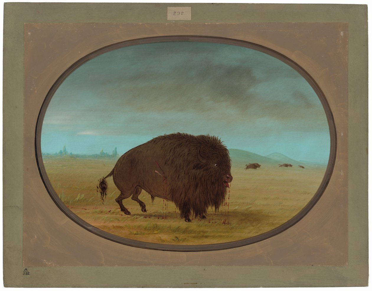 Sebesült Buffalo Bull alkotó: George Catlin