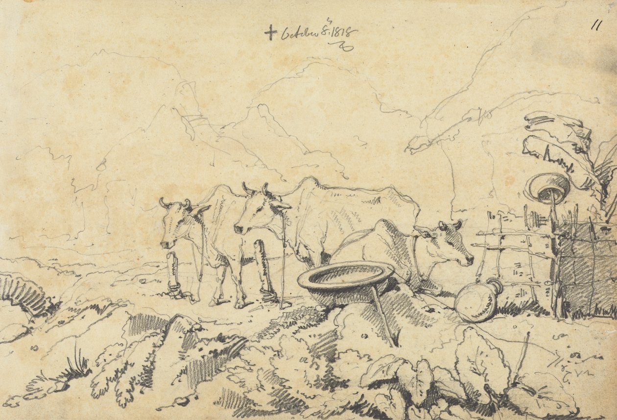 Három tehén kötve alkotó: George Chinnery