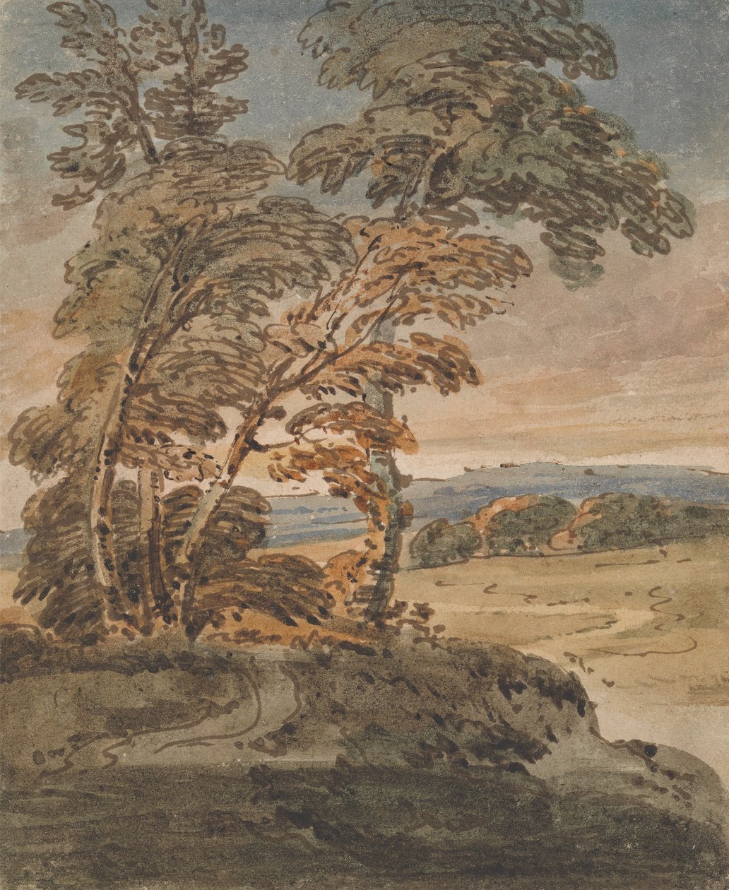 Fák egy domboldali ösvényen alkotó: George Chinnery
