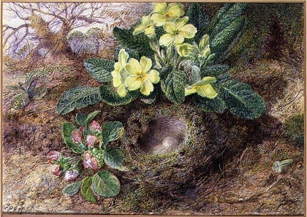 Csendélet primőrökkel és madárfészekkel (akvarell, gouache, papír) alkotó: George Clare