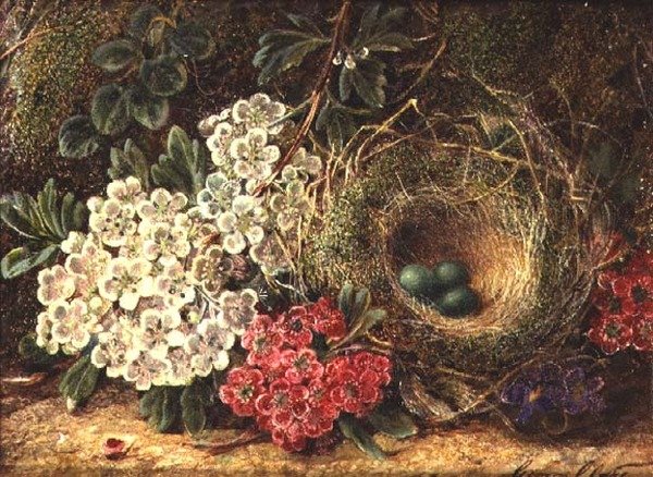 Csendélet madárfészekkel alkotó: George Clare