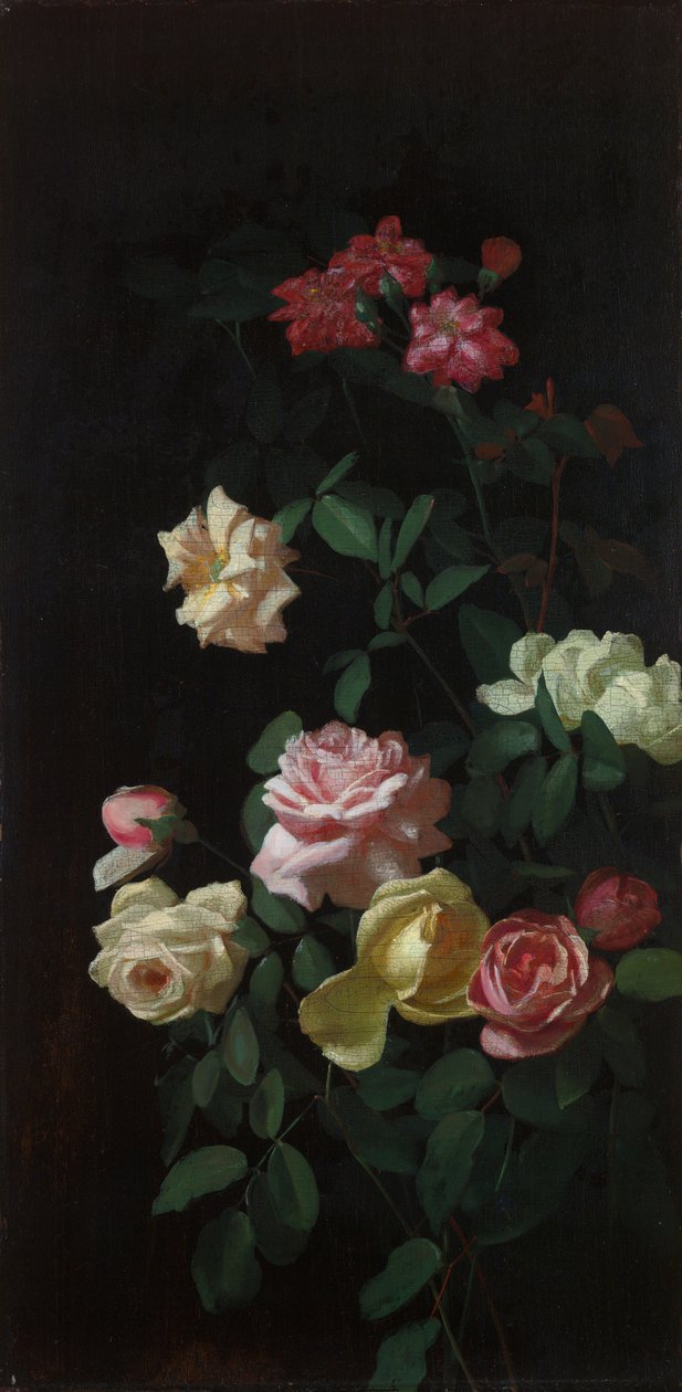 Rózsák alkotó: George Cochran Lambdin