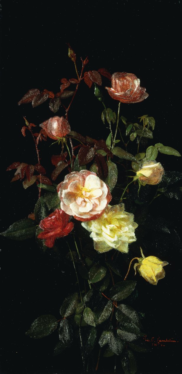 Rózsák, 1878 alkotó: George Cochran Lambdin