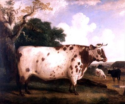 Rövidszarvú bika tájban alkotó: George Cole