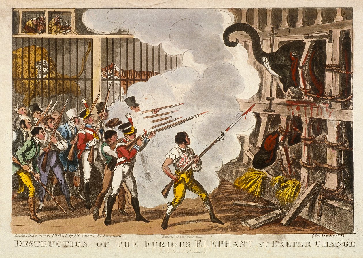 „A dühös elefánt megsemmisítése Exeter Change-ben”, 1826 alkotó: George Cruikshank