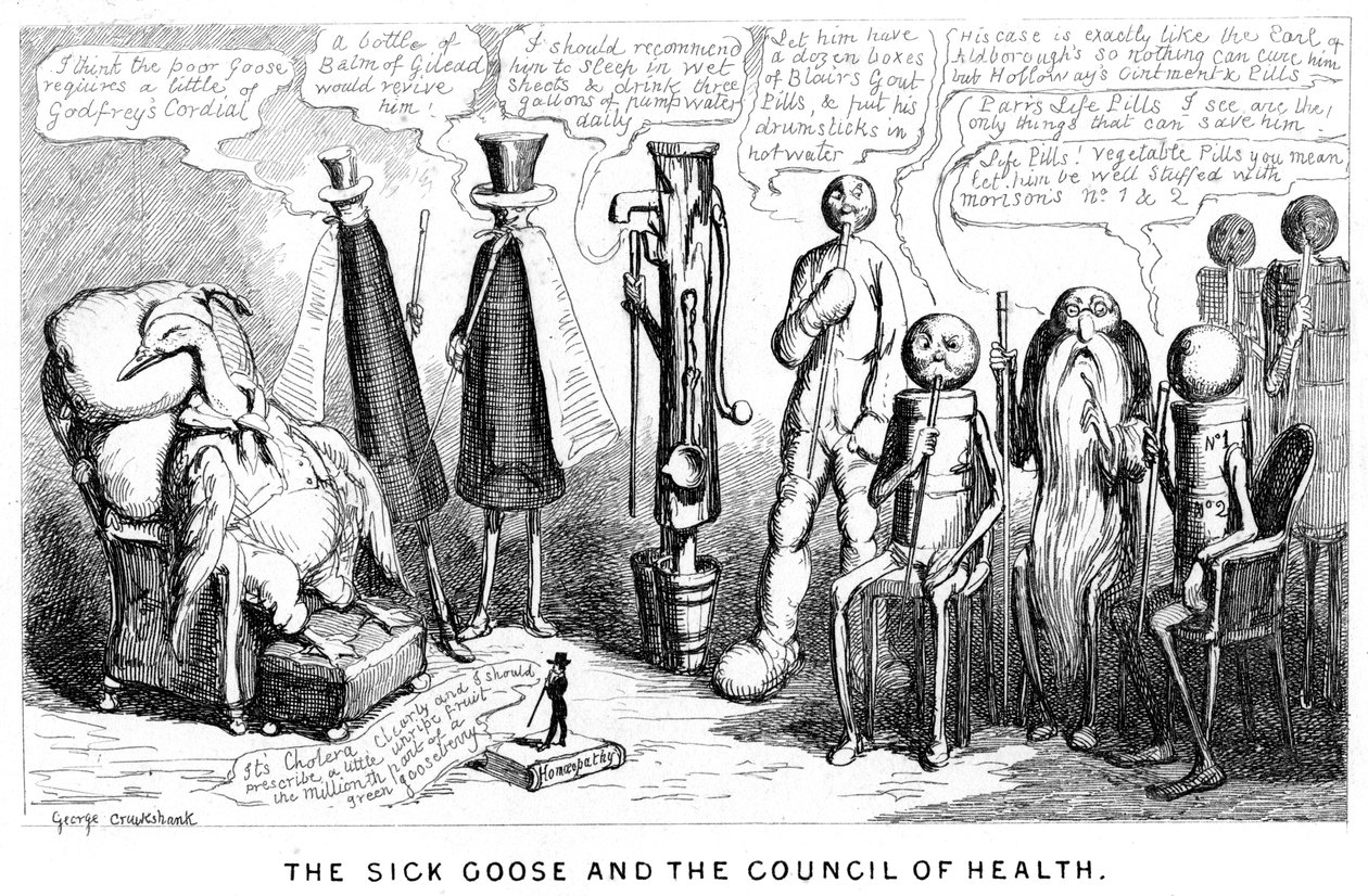 A beteg liba és az Egészségügyi Tanács, XIX alkotó: George Cruikshank