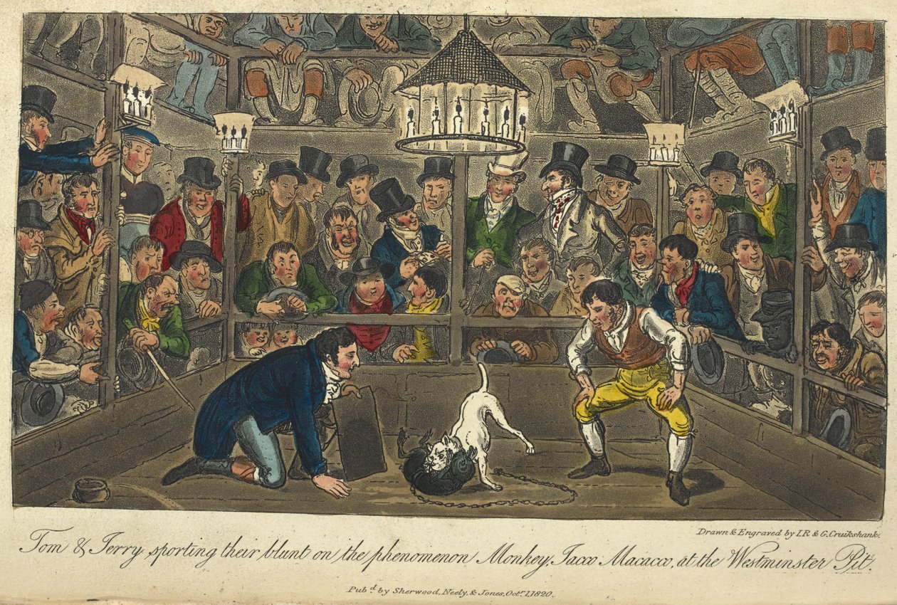 „Tom és Jerry a majom, Jacco, Maccaco jelenségről a Westminsteri gödörben nyilatkozik.” Kutyaviadal, "Élet Londonban stb.", Pierce Egan alkotó: George Cruikshank