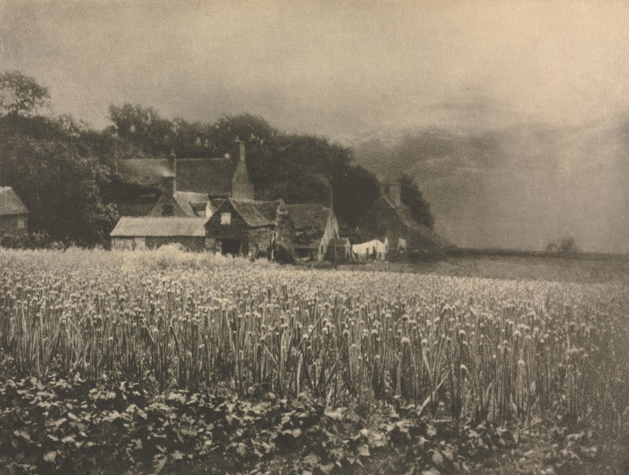 Kameramunka: Hagymaföld – 1890 alkotó: George Davison