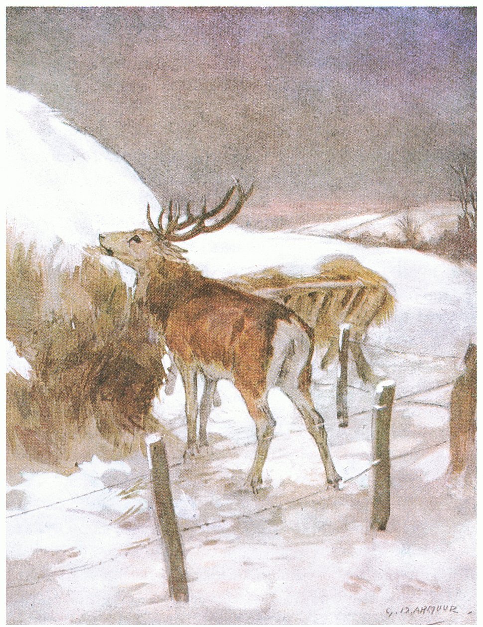 Hamar rájött, hol tartják a takarmányt a bikák számára (színes litho) alkotó: George Denholm Armour
