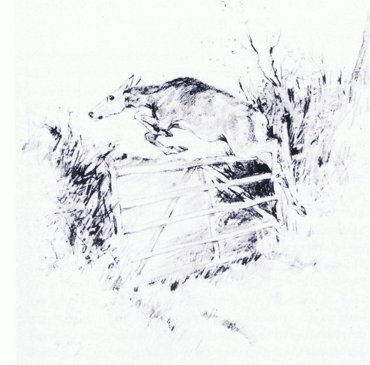 Mint nyíl az íjból (litho) alkotó: George Denholm Armour