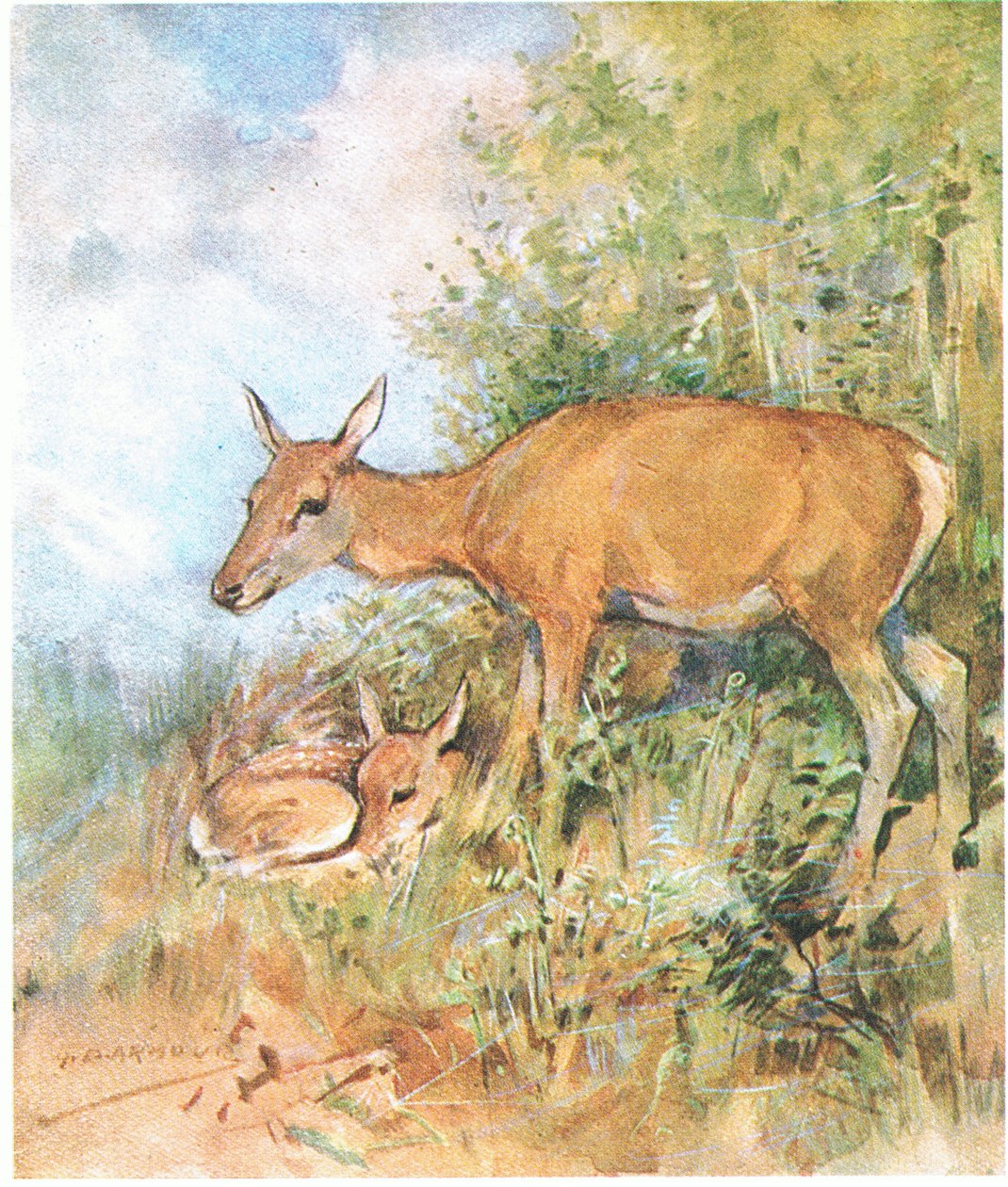 Mindig készen állt neki egy kényelmes ágy fűben vagy páfrányban (színes litho) alkotó: George Denholm Armour