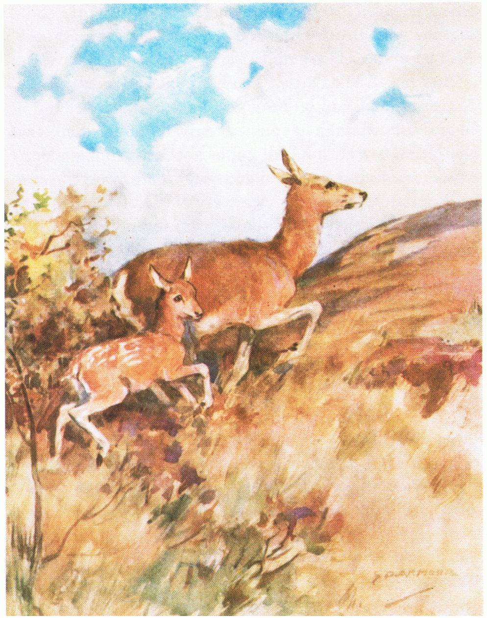 Tawny megfordult és elmenekült, és felszólította Rustyt, hogy kövesse őt (színes litho) alkotó: George Denholm Armour