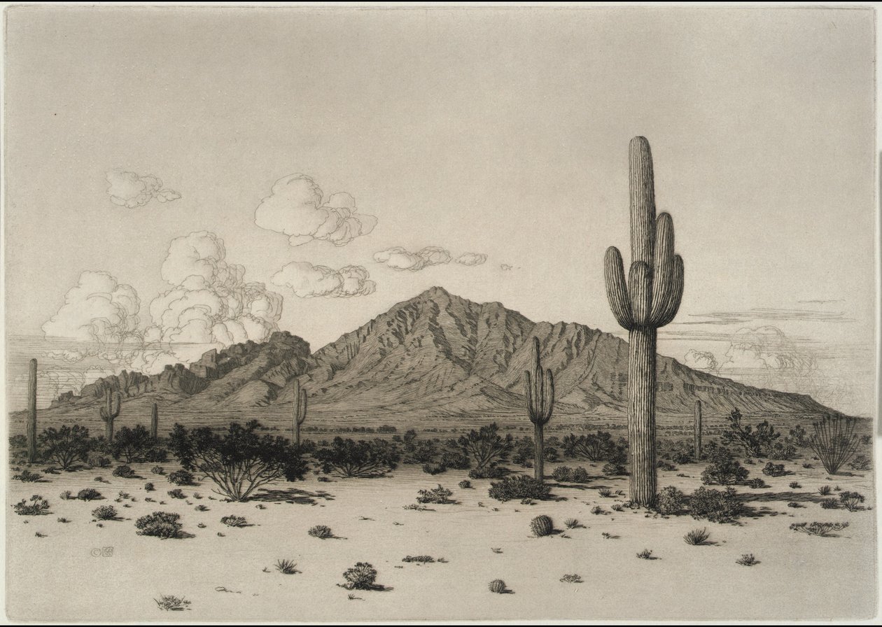 Camelback-hegy, Phoenix alkotó: George Elbert Burr