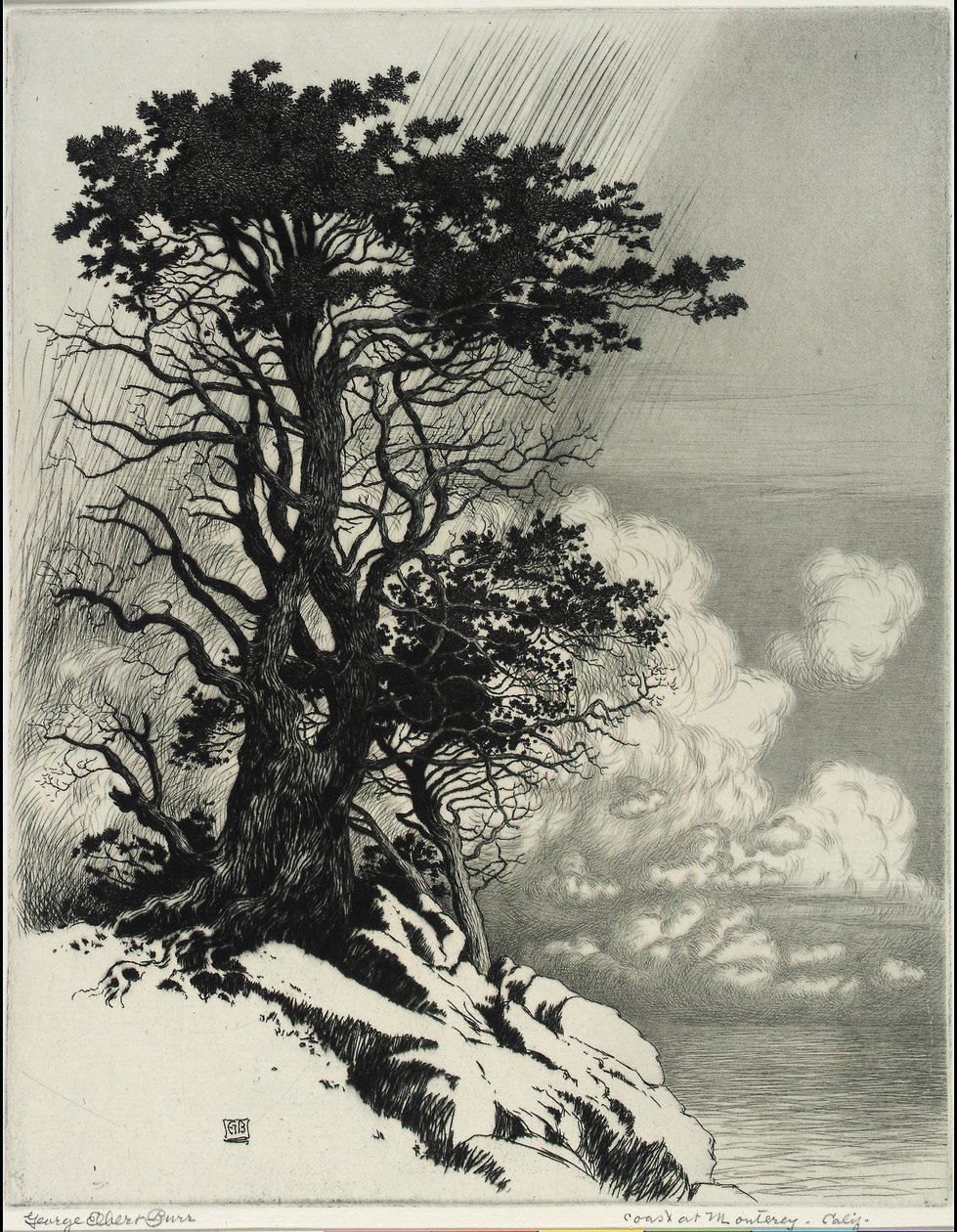 Monterey partja, Kalifornia alkotó: George Elbert Burr
