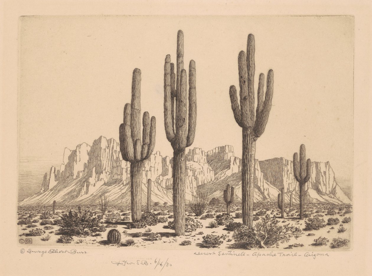 Desert Sentinels, Apache Trail, Arizona alkotó: George Elbert Burr