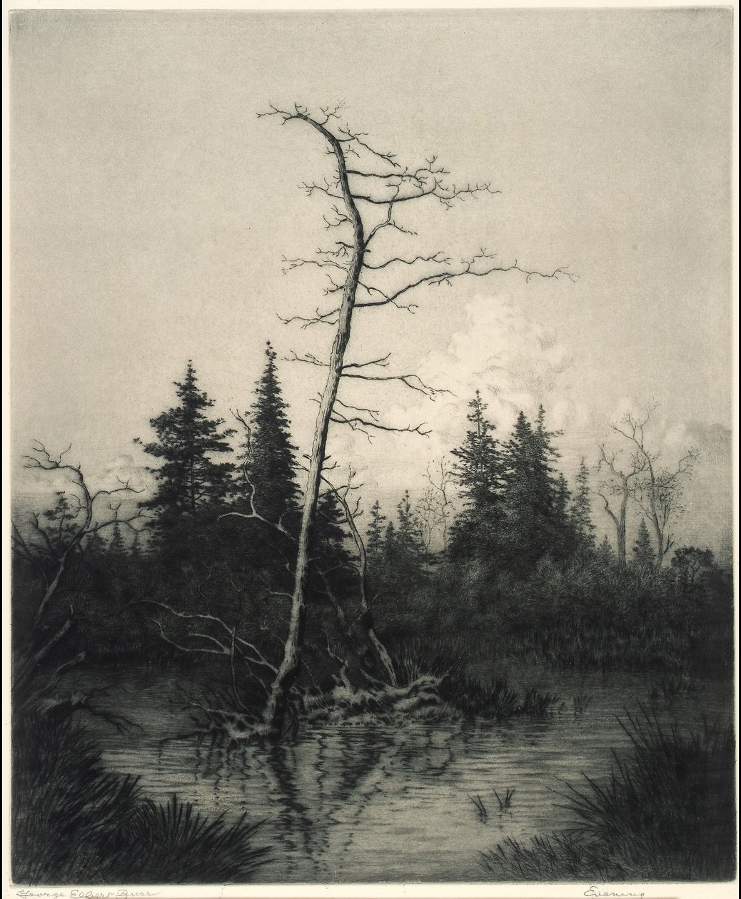 Este alkotó: George Elbert Burr