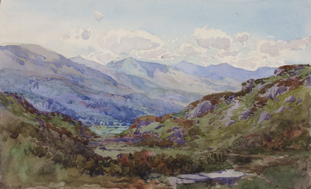 Felülről Pont-y-Pant, 1899. alkotó: George Elbert Burr