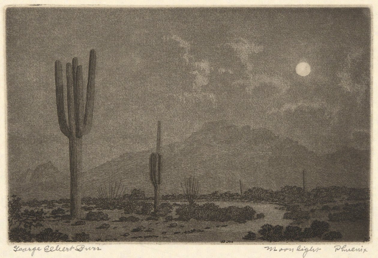 Holdfény-Phoenix alkotó: George Elbert Burr