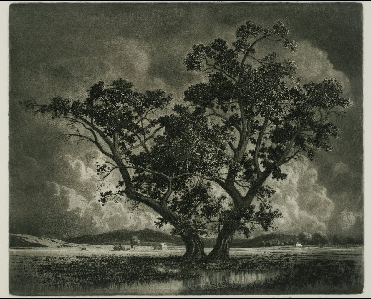 Old Cottonwoods, Colorado alkotó: George Elbert Burr