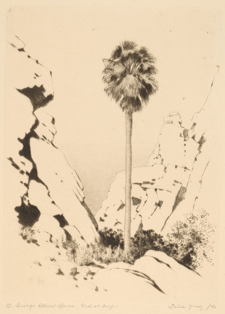 Palm Canyon (1. sz.) alkotó: George Elbert Burr