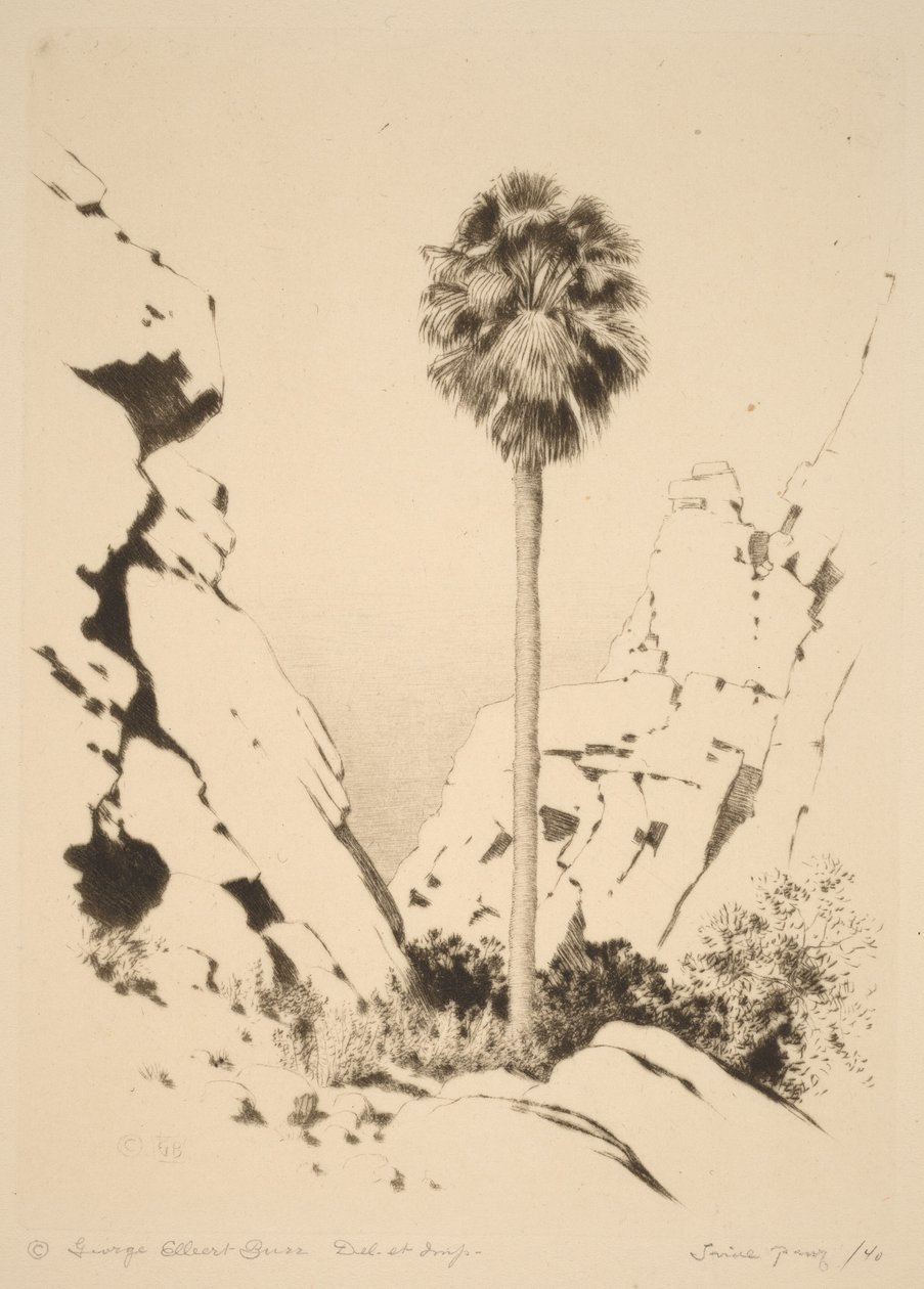 Palm Canyon (1. sz.) alkotó: George Elbert Burr