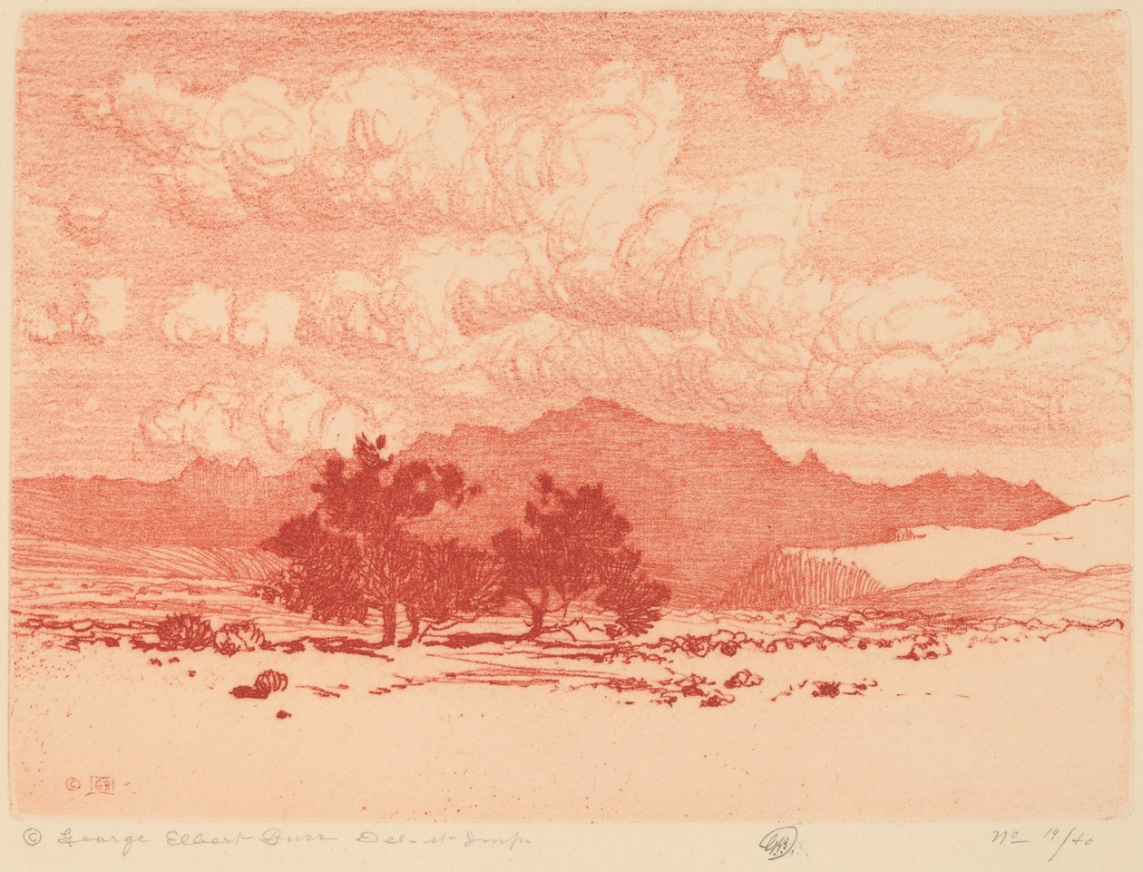 Palo Verde fák alkotó: George Elbert Burr