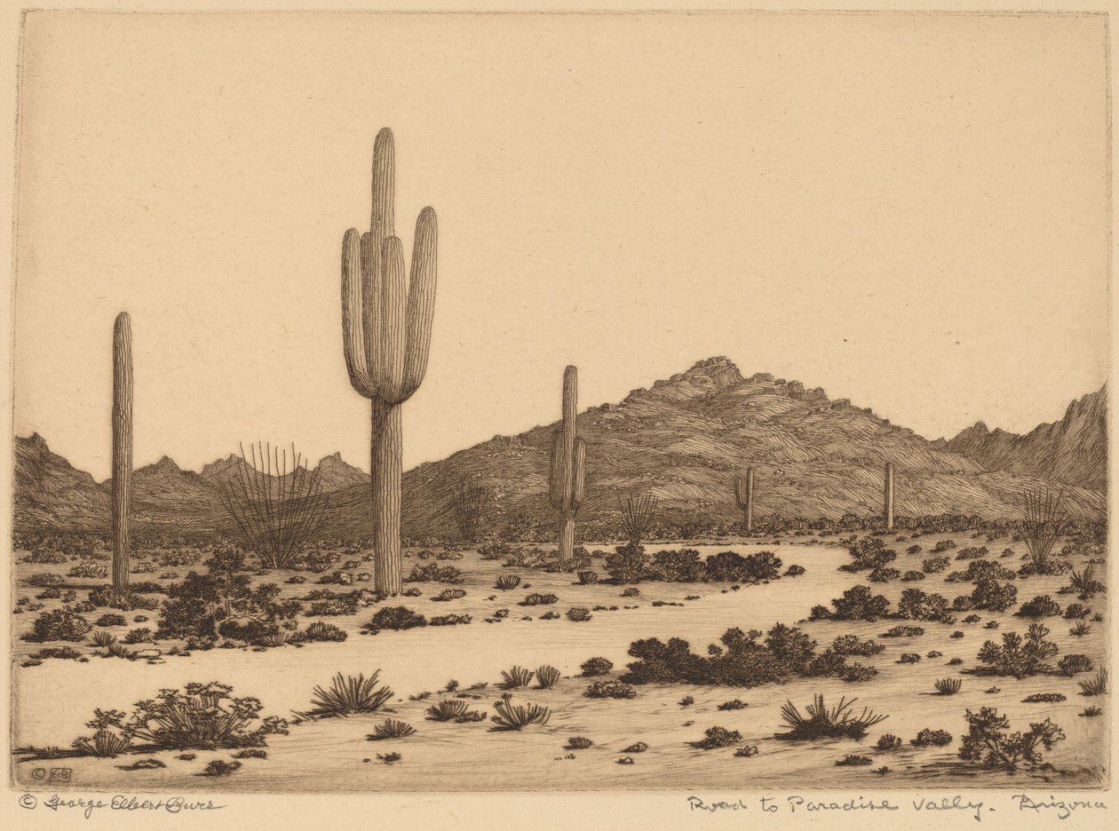 Út a Paradise Valley-be, Arizonába alkotó: George Elbert Burr