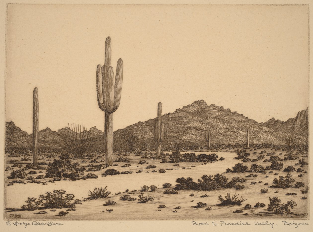 Út a Paradise Valley-be, Arizona alkotó: George Elbert Burr