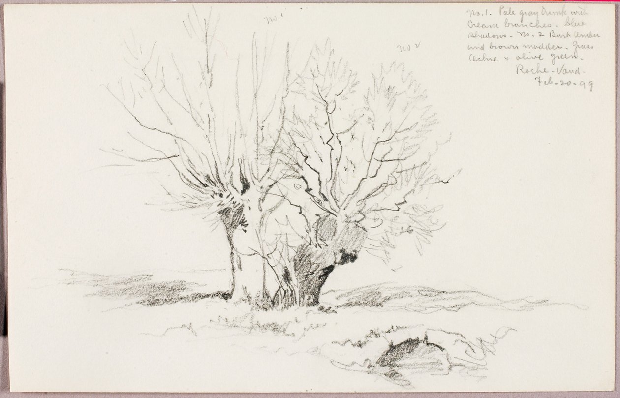 Roche Vaud alkotó: George Elbert Burr