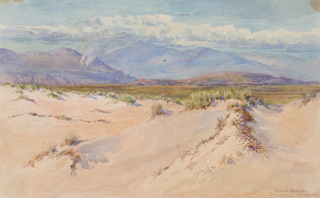 Homokdűnék, Harlech, Észak-Wales alkotó: George Elbert Burr