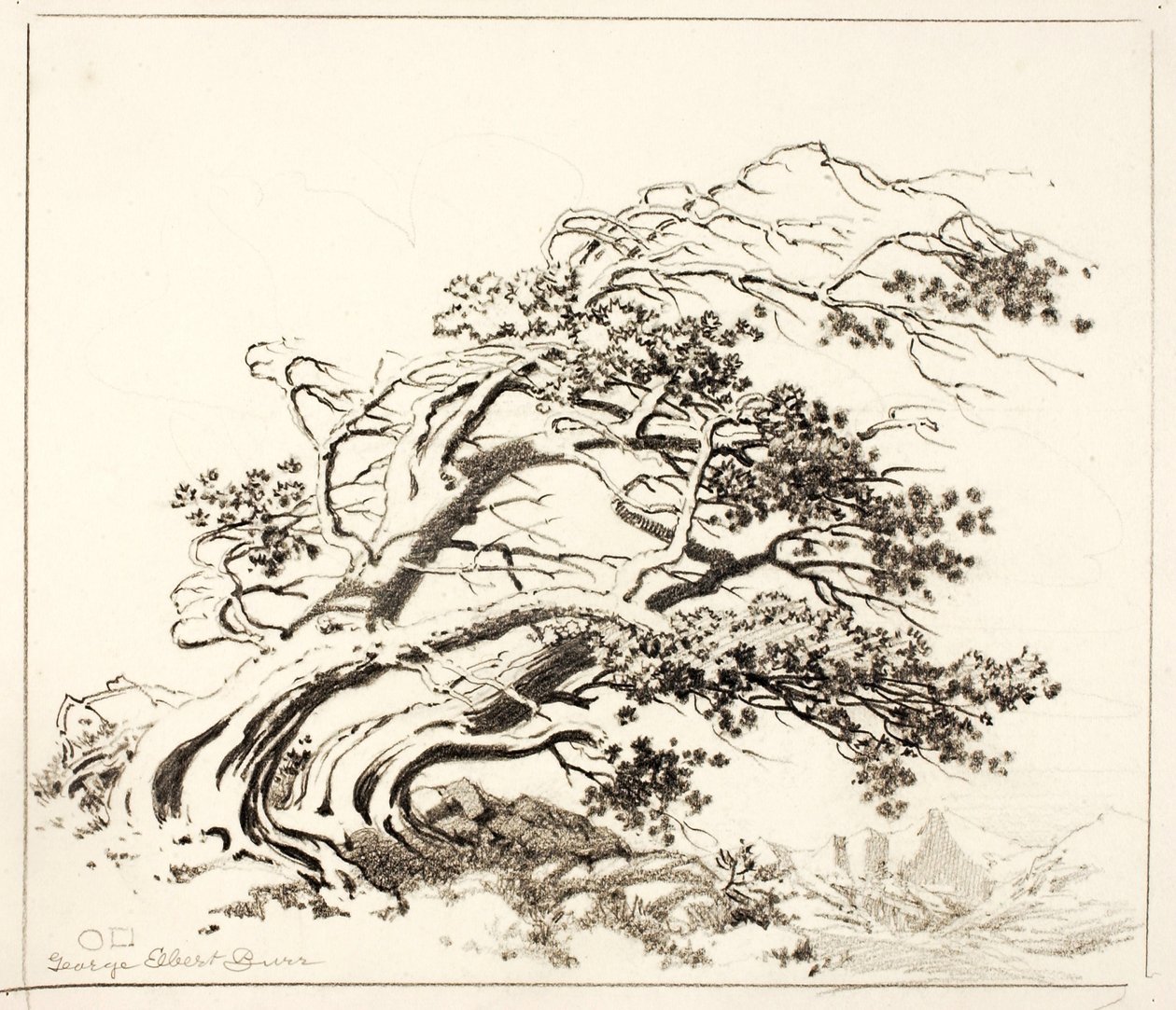 Sketch for Pines in Wind, Estes Park alkotó: George Elbert Burr