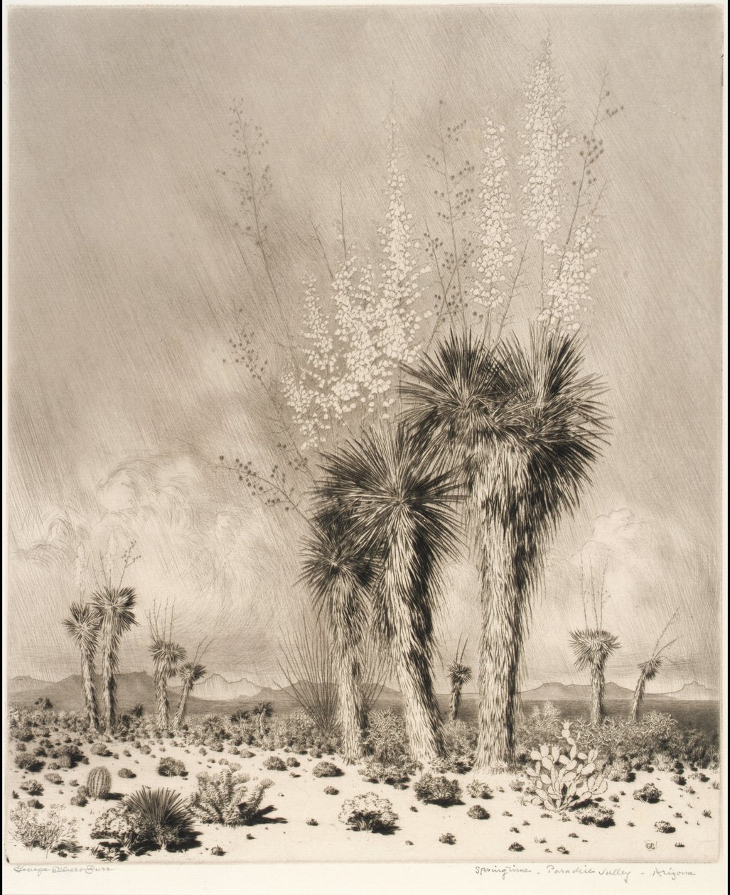 Tavasz, Paradise Valley, Arizona alkotó: George Elbert Burr