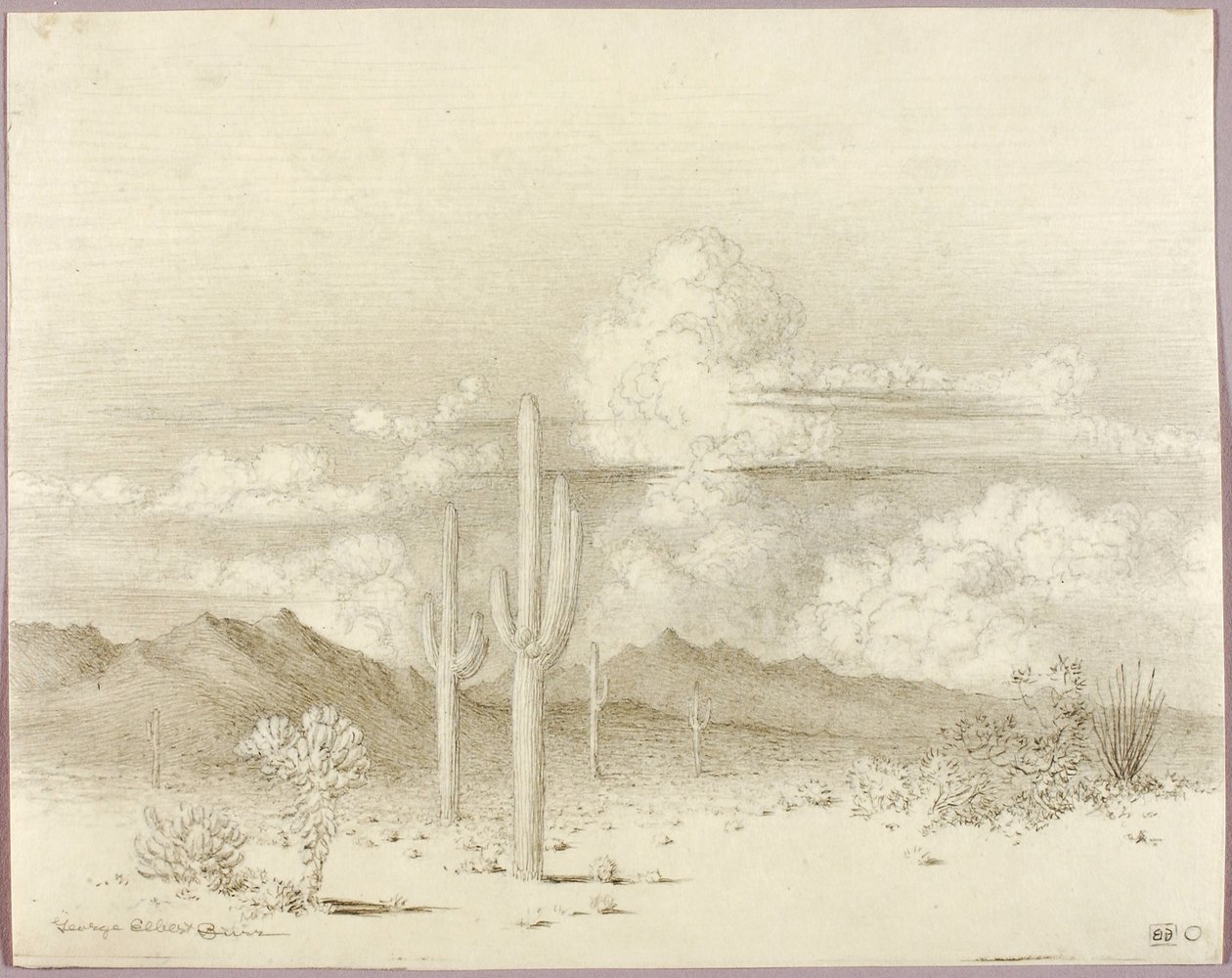 Cím nélkül (átviteli rajz az Este, Paradise Valley, Arizona című műhöz) alkotó: George Elbert Burr