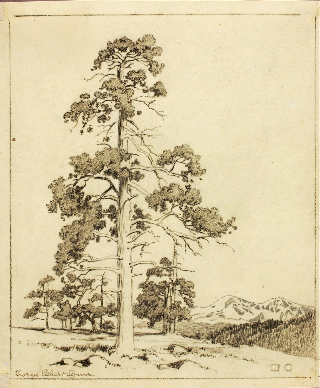 Cím nélkül (átviteli rajz nyomathoz) alkotó: George Elbert Burr