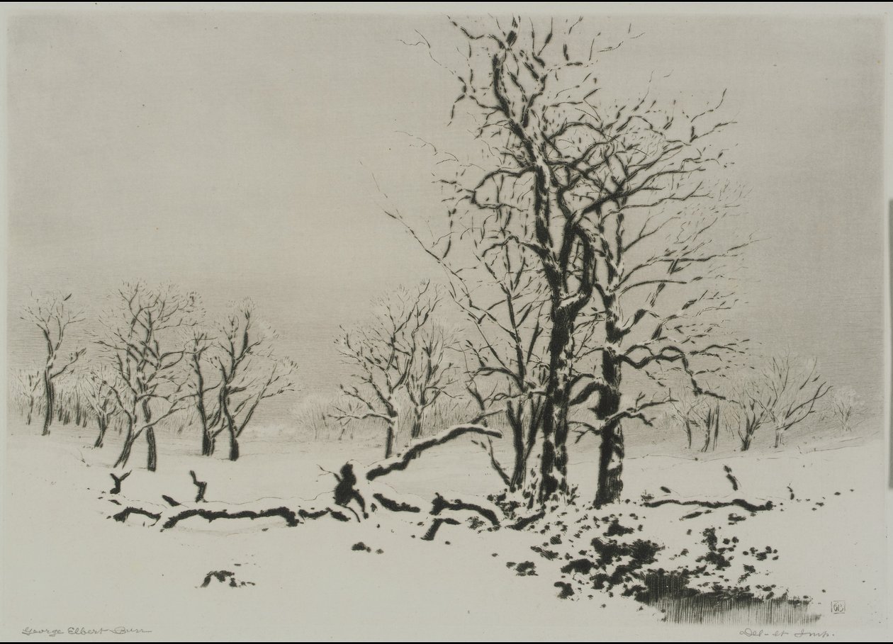 Tél (1. sz.) alkotó: George Elbert Burr