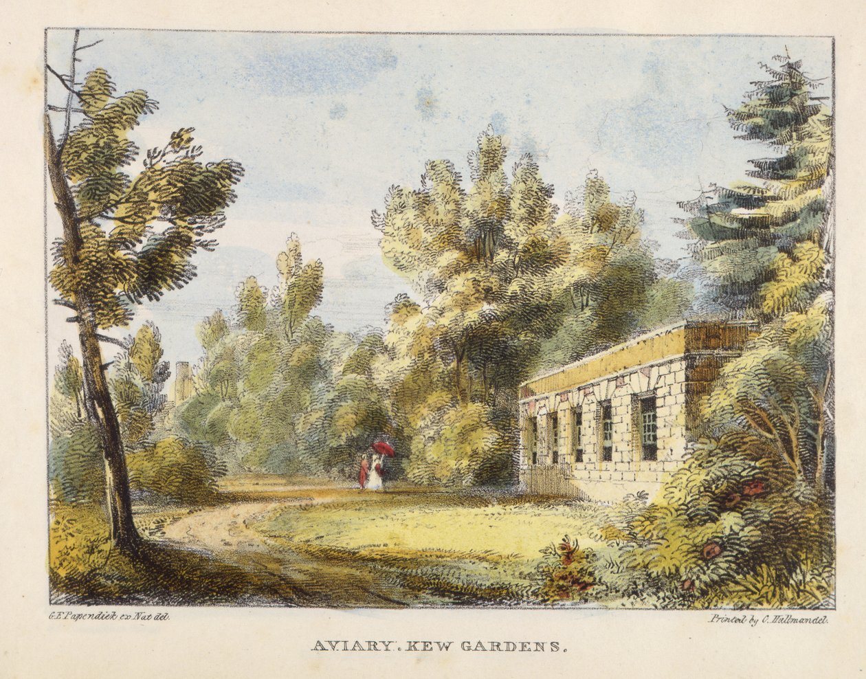 Aviary, Kew Gardens, 10. tábla a Kew Gardensből: Huszonnégy kőrajz sorozata, vésette Charles Hullmandel (1789-1850), megjelent 1820-ban (kézzel színezett litó) alkotó: George Ernest after Papendiek