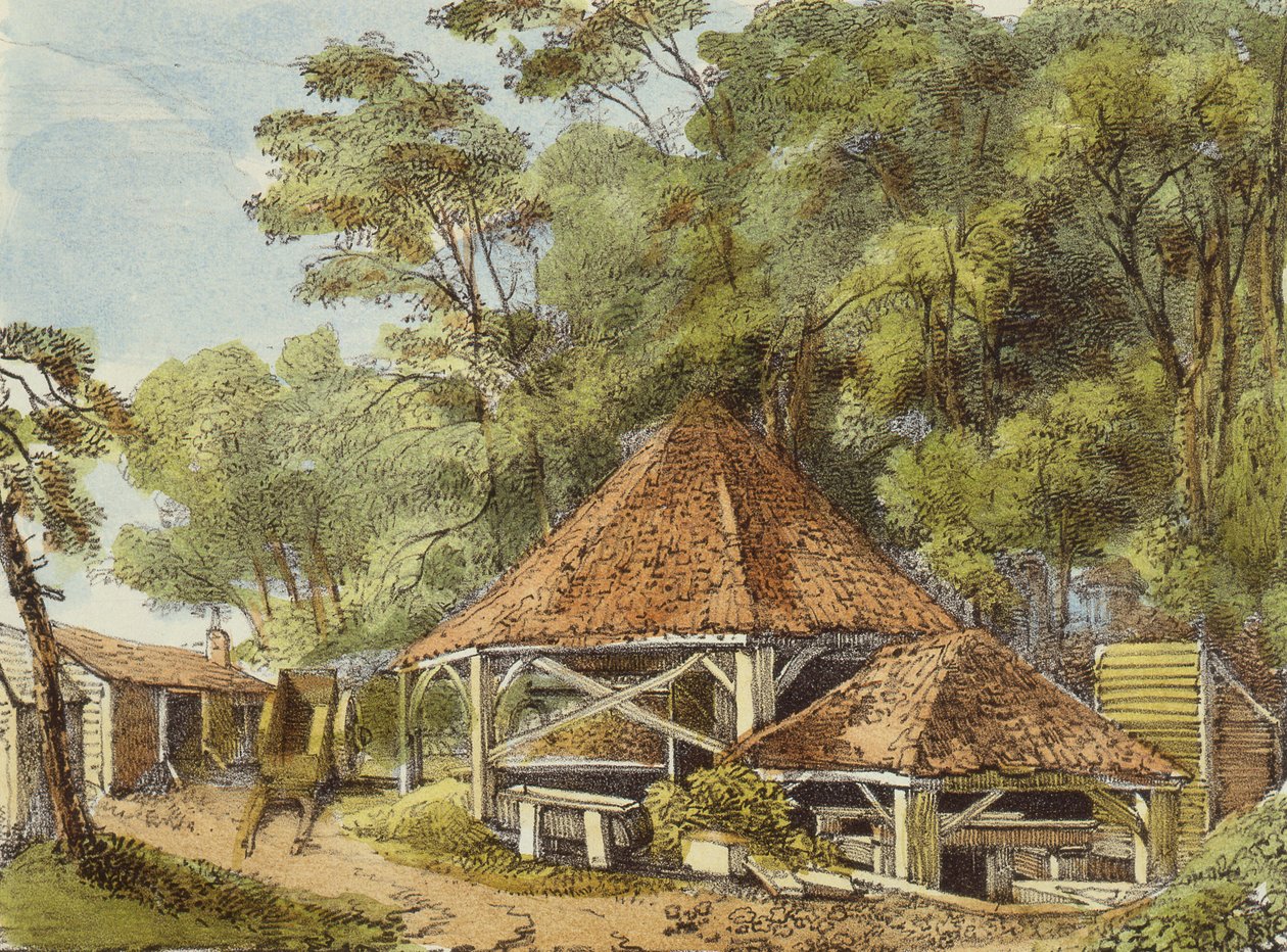 Water Works, Kew Gardens, 22. tábla a Kew Gardenstől: Huszonnégy kőrajz sorozata, Charles Hullmandel (1789-1850) metszetében, 1820-ban megjelent (kézzel színezett litó) alkotó: George Ernest after Papendiek