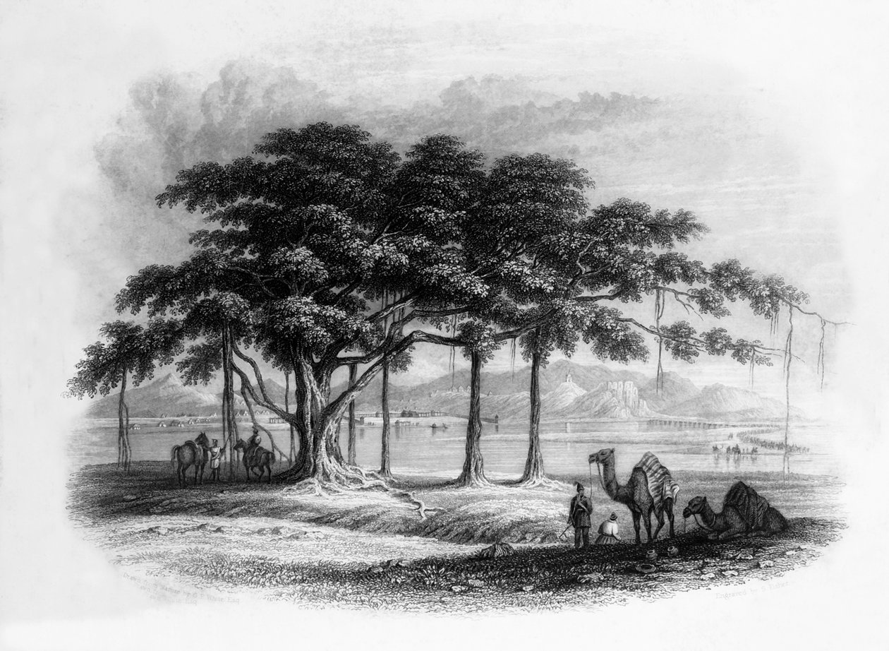 „Runjeet Singh tábora Roopurban, a Sutlej folyón”, 1838. alkotó: George Francis White