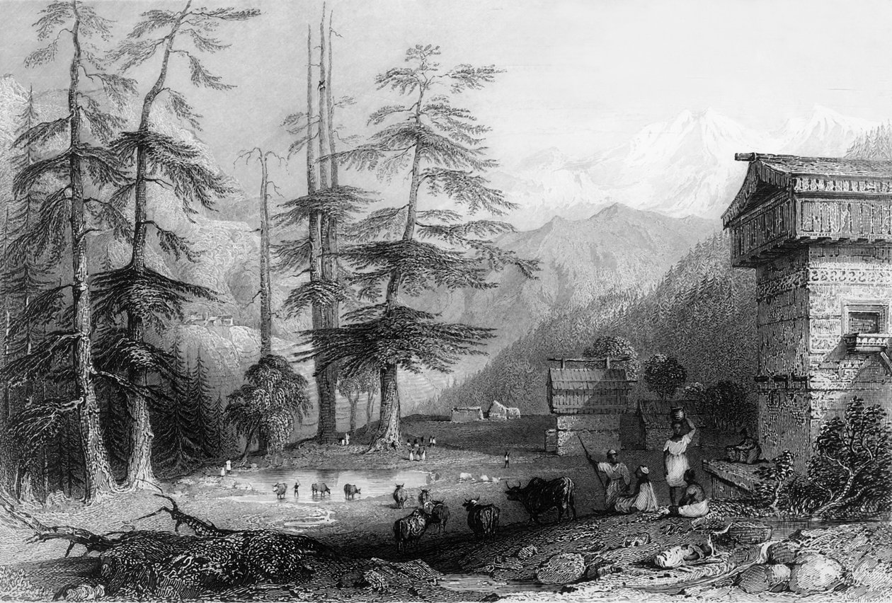 "Koghera és Deodar-erdő faluja, a Choor közelében", 1838. alkotó: George Francis White