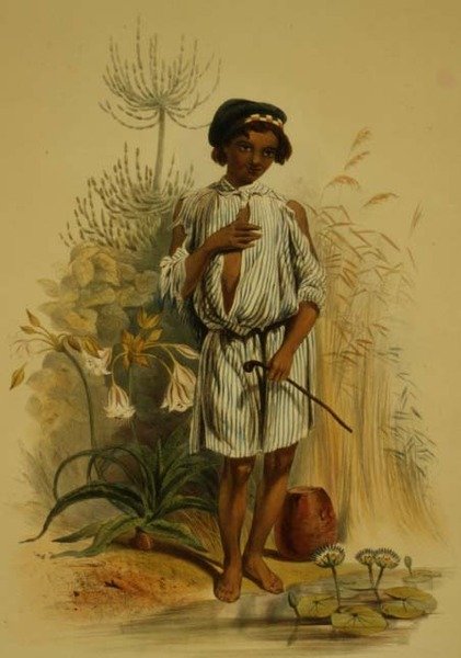 Charley, egy félkasztú kafir fiú, a „The Kafirs Illustrated” 24. táblája, A. Laby metszetével alkotó: George French (after) Angas