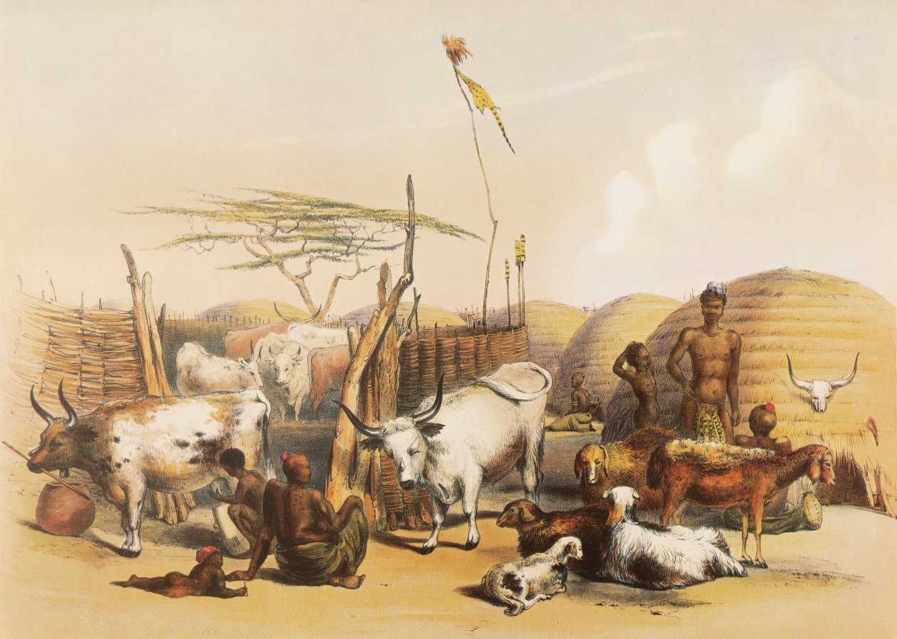 Egy zulu kraal az Umgaki folyón Natalban alkotó: George French Angas
