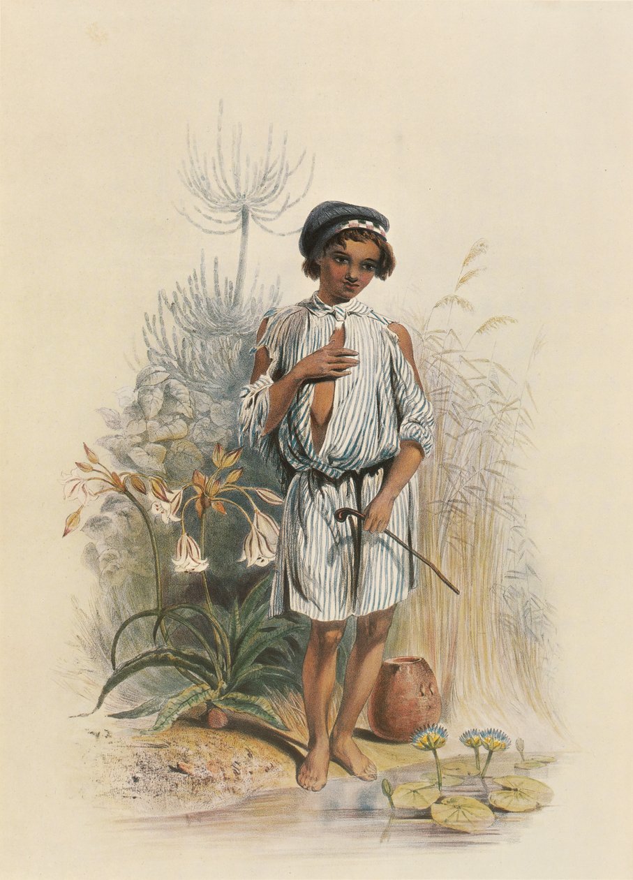 Charley, egy félkaszt fiú Natalban. alkotó: George French Angas
