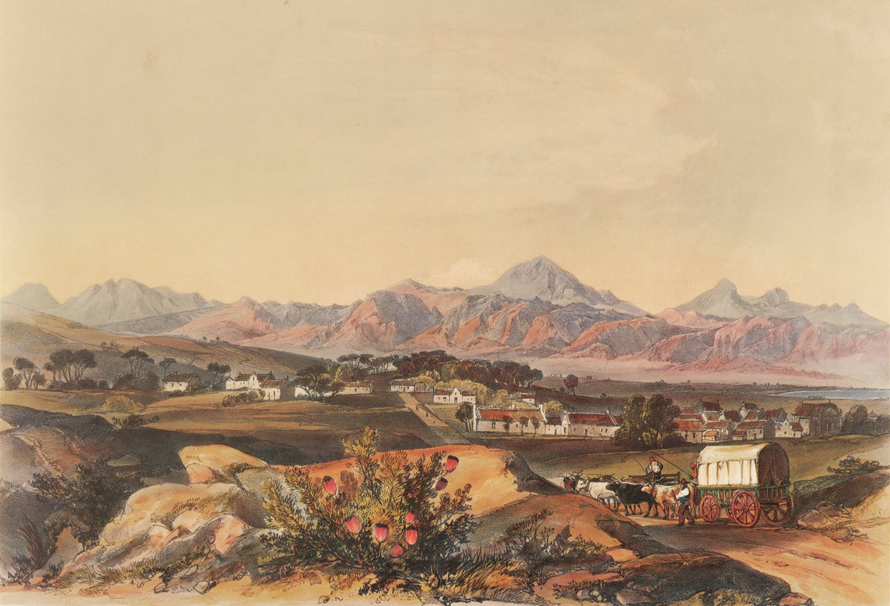 Somerset, Hottentot Holland farmokat és Somerset-West falut magában foglalva alkotó: George French Angas
