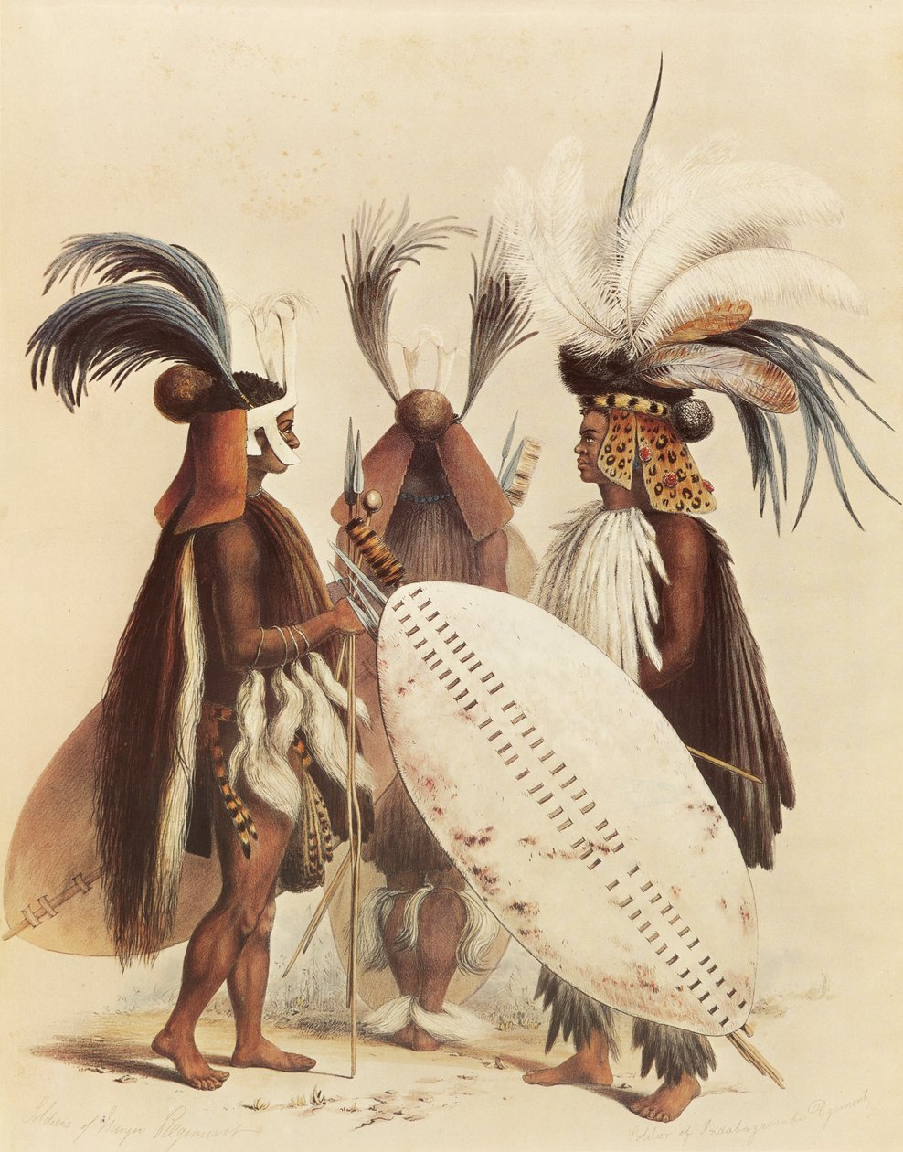 A zulu hadsereg alkotó: George French Angas
