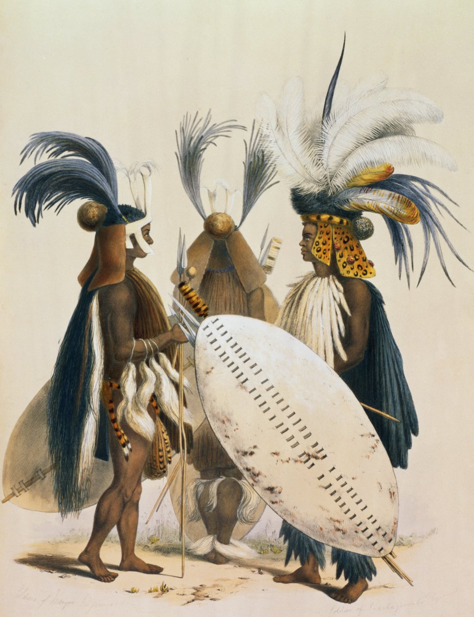 Panda király hadseregének zulu katonái, 20. lemez a „The Kafirs Illustrated”-ből, 1849 alkotó: George French Angas