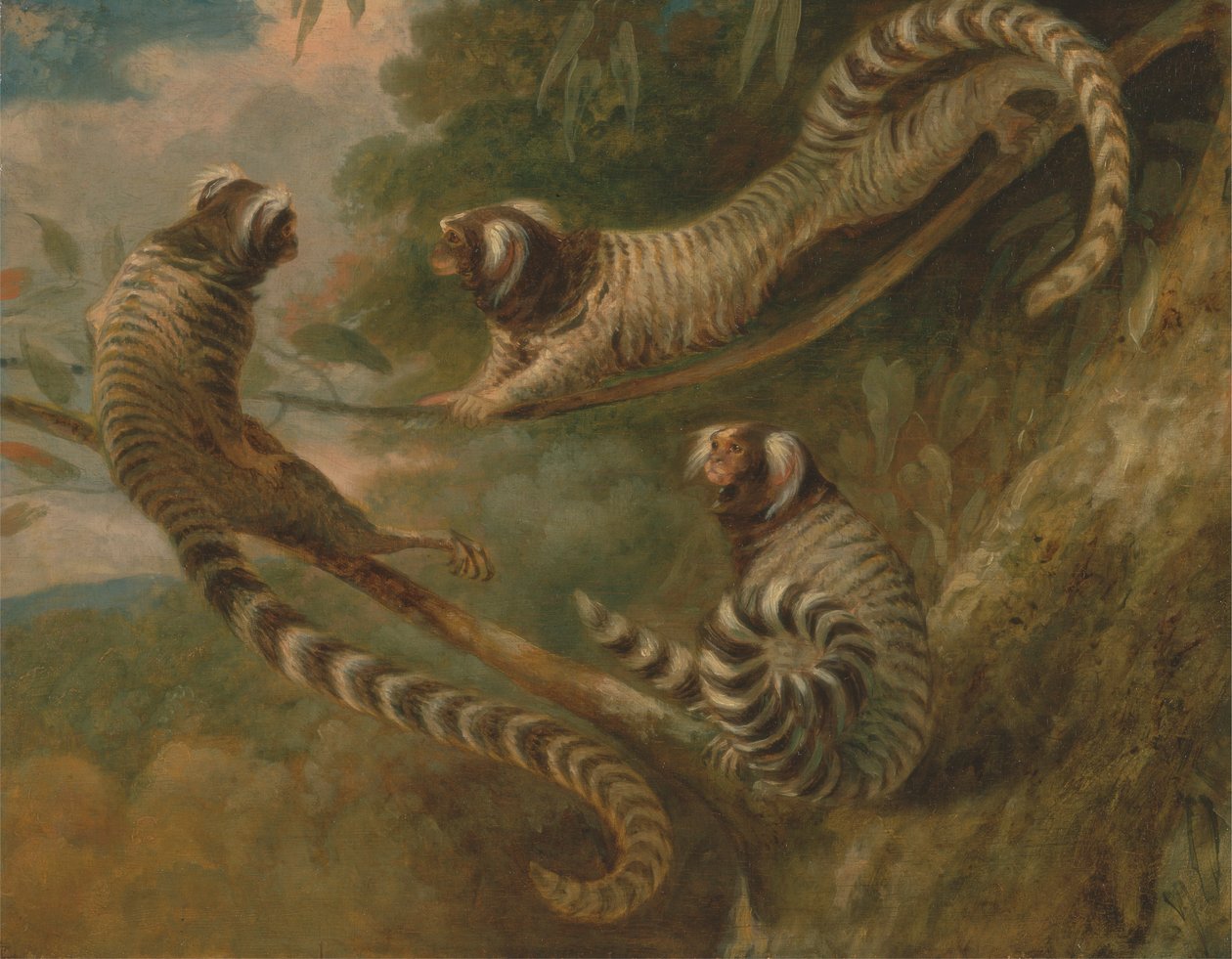 Marmoset három attitűdben alkotó: George Garrard